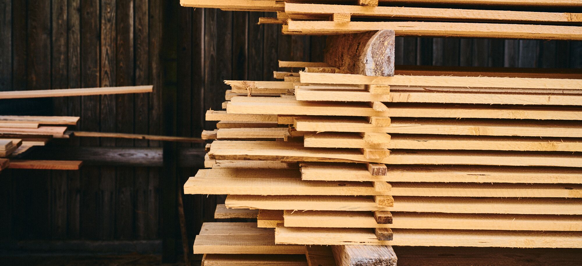 Holzbau Friedrich Sägewerk