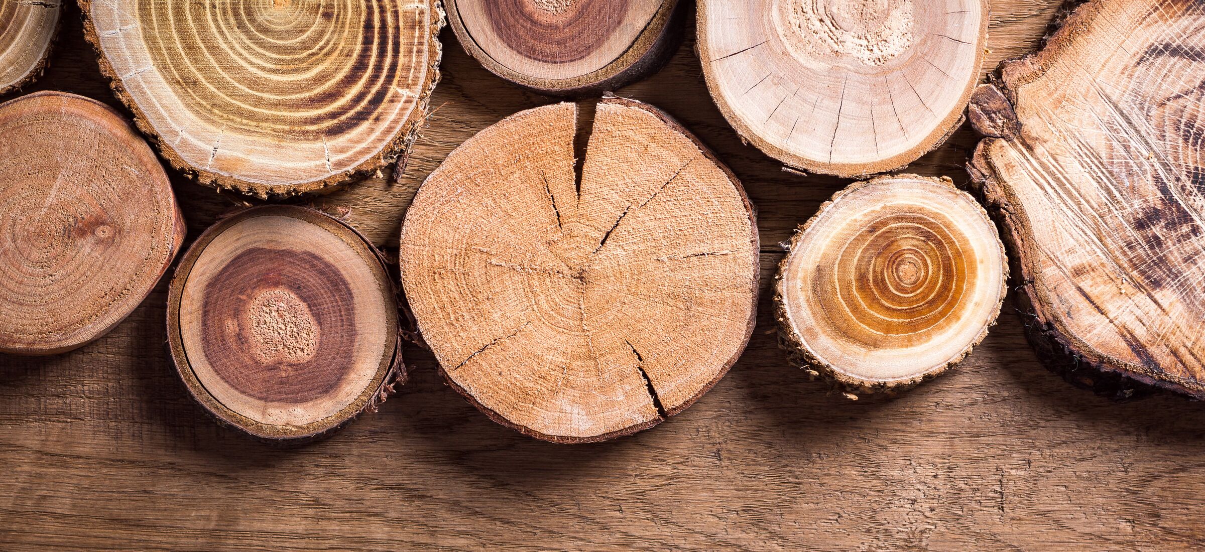 Holzbau Friedrich Team